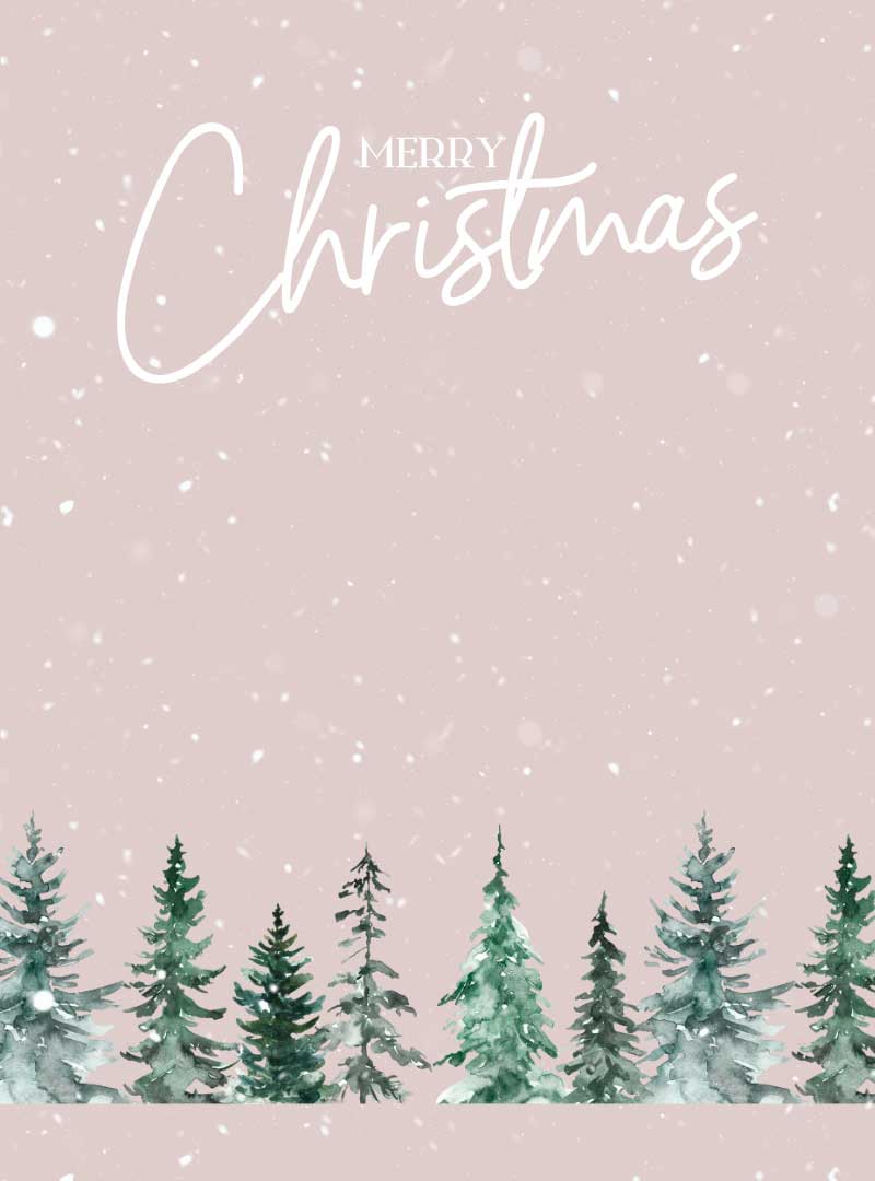 Merry Christmas