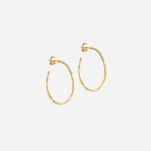 Enamel E480G Organic Arena Medium Hoops Gold