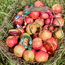 Black Colour BCLyon Bracelet Green
