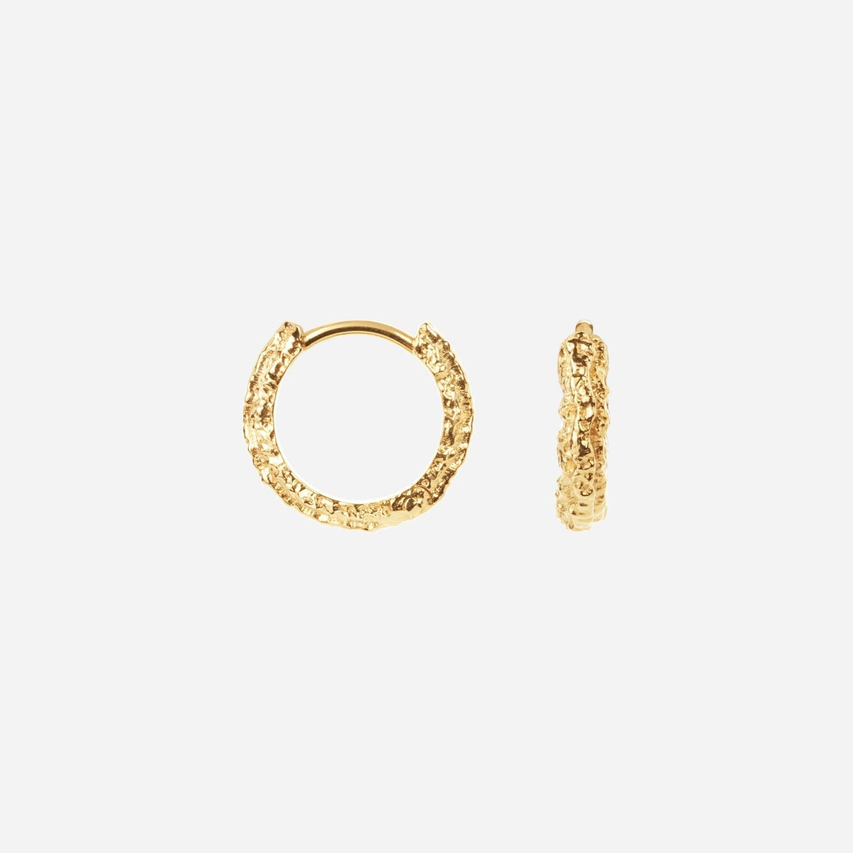 Camille Brinch Small Sparkly Hoops Gold