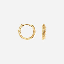 Camille Brinch Small Sparkly Hoops Gold