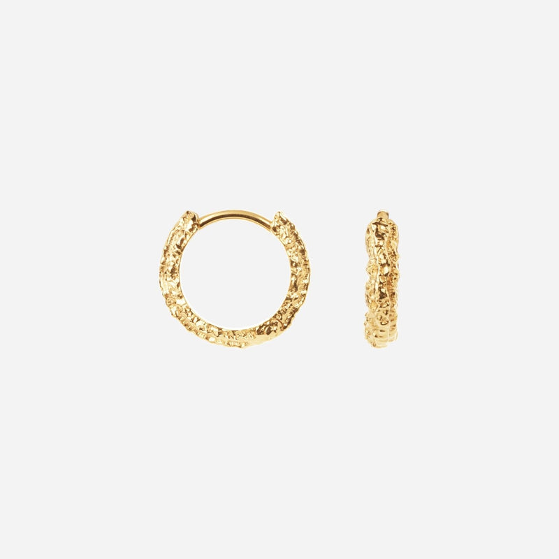 Camille Brinch Small Sparkly Hoops Gold