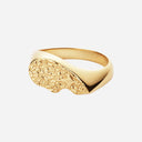 Camille Brinch Textured BFF Sparkly Ring Gold