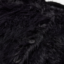 Copenhagen Muse CMUla Cardigan Black