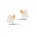 Enamel E354G Mae Earring Guld - J BY J Fashion