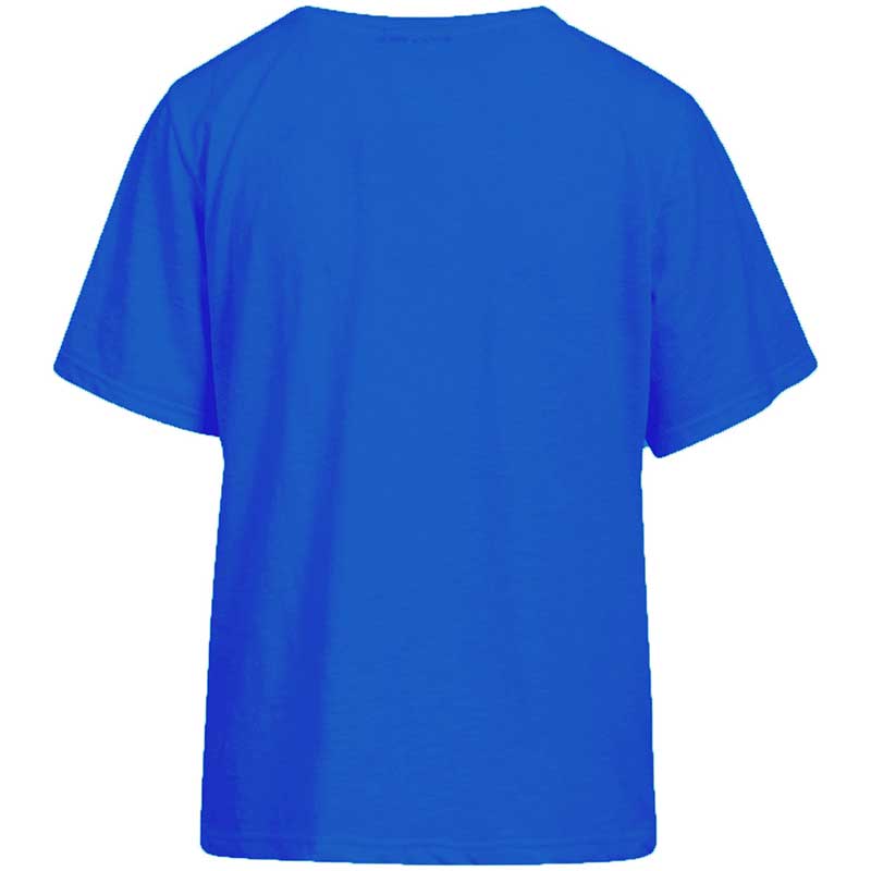 COSTER COPENHAGEN CCH1118 REGULAR T-SHIRT 578 BLÅ